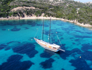 Elianora