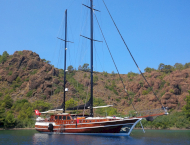Kaya Guneri Plus