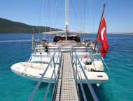 Caner IV