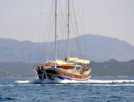 C Taner II