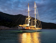 Estrella De Mar