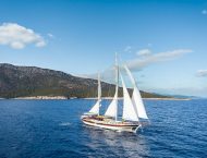 Estrella De Mar