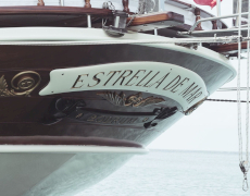 Estrella De Mar