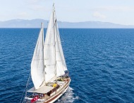Estrella De Mar