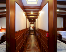 Kaya Guneri IV