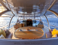 Silver Moon