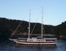 Tersane 8