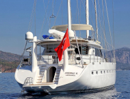 Angelo II