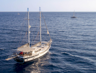 Grand Sailor
