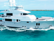 Vivierae II