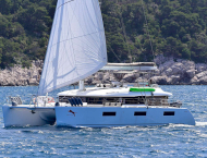 Adriatic Tiger